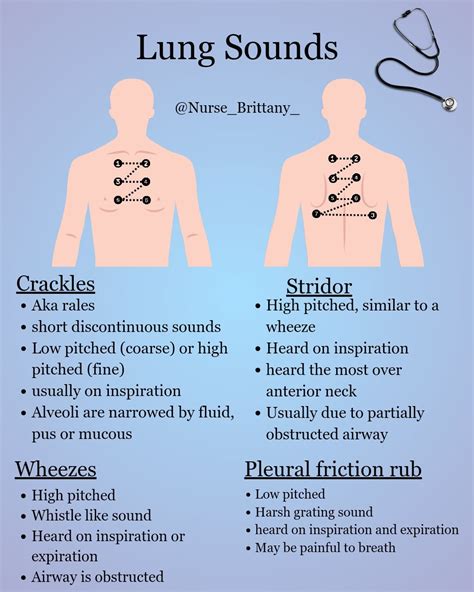 Breath sounds Flashcards .